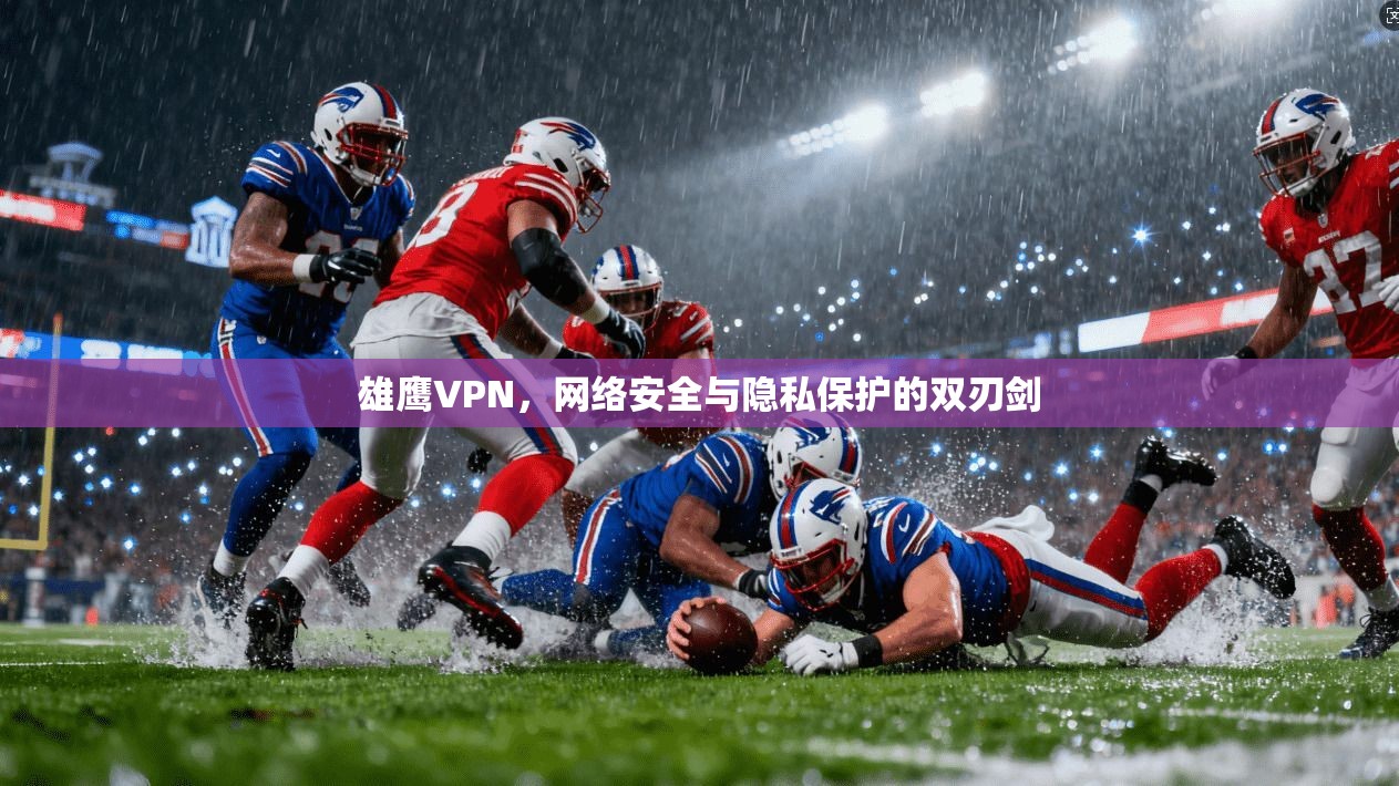 雄鹰VPN，网络安全与隐私保护的双刃剑