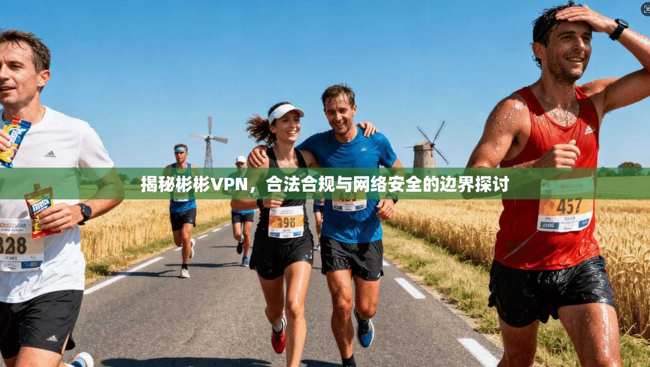 揭秘彬彬VPN,合法合规与网络安全的边界探讨