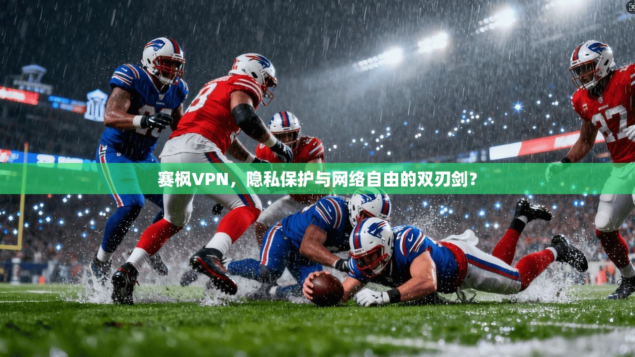 赛枫VPN,隐私保护与网络自由的双刃剑?