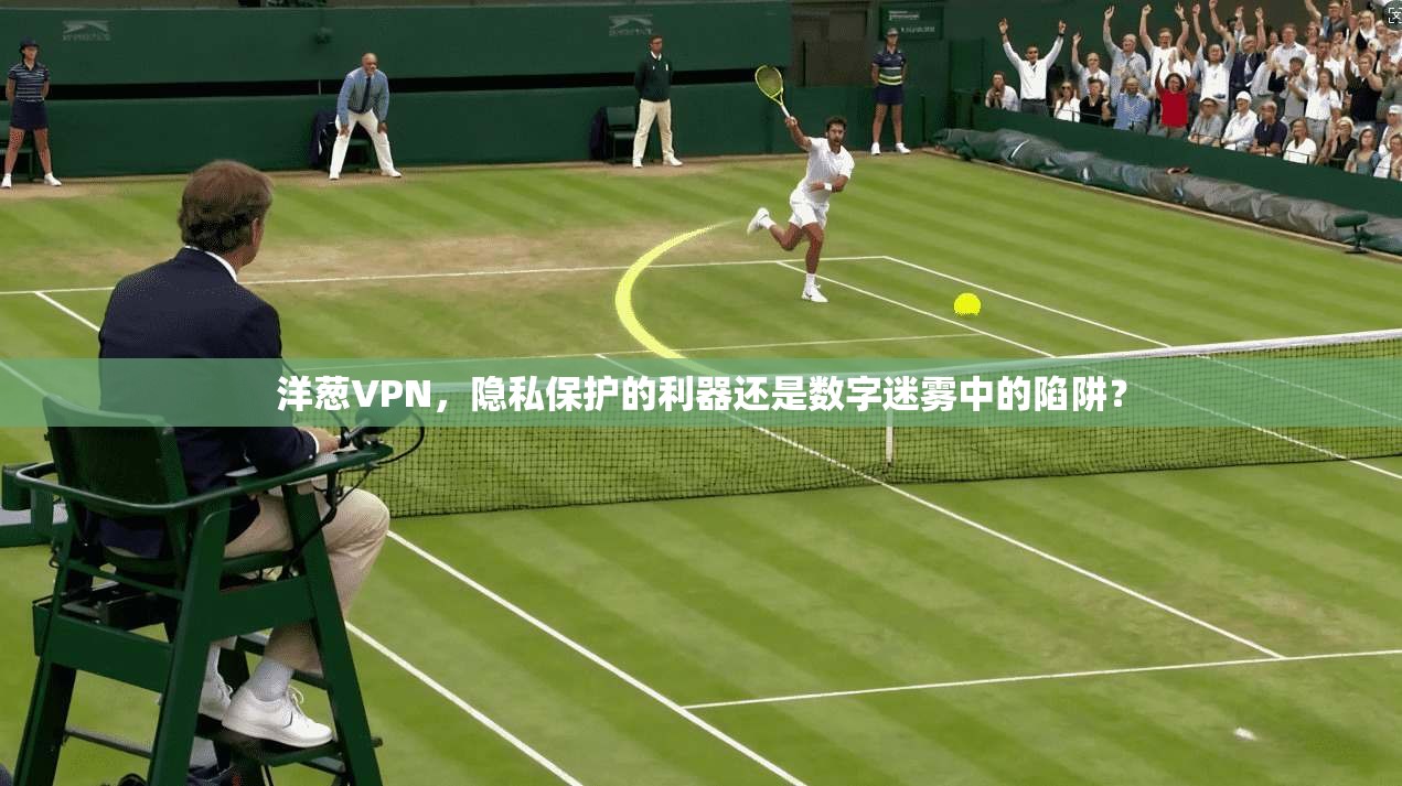 洋葱VPN，隐私保护的利器还是数字迷雾中的陷阱？