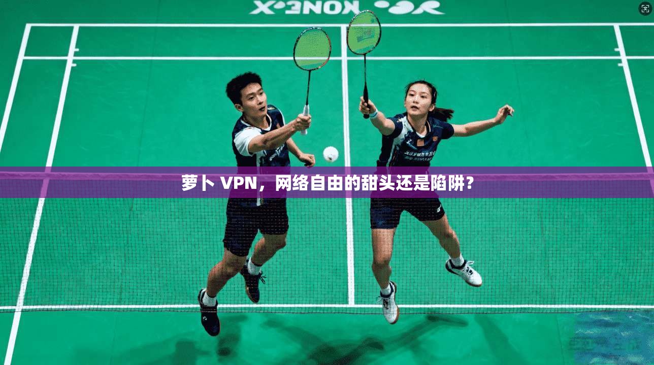 萝卜 VPN，网络自由的甜头还是陷阱？