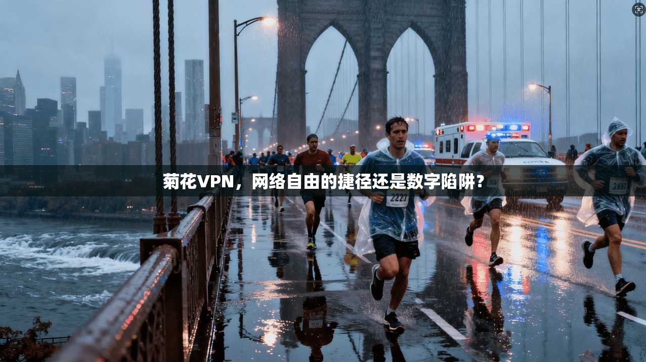 菊花VPN，网络自由的捷径还是数字陷阱？