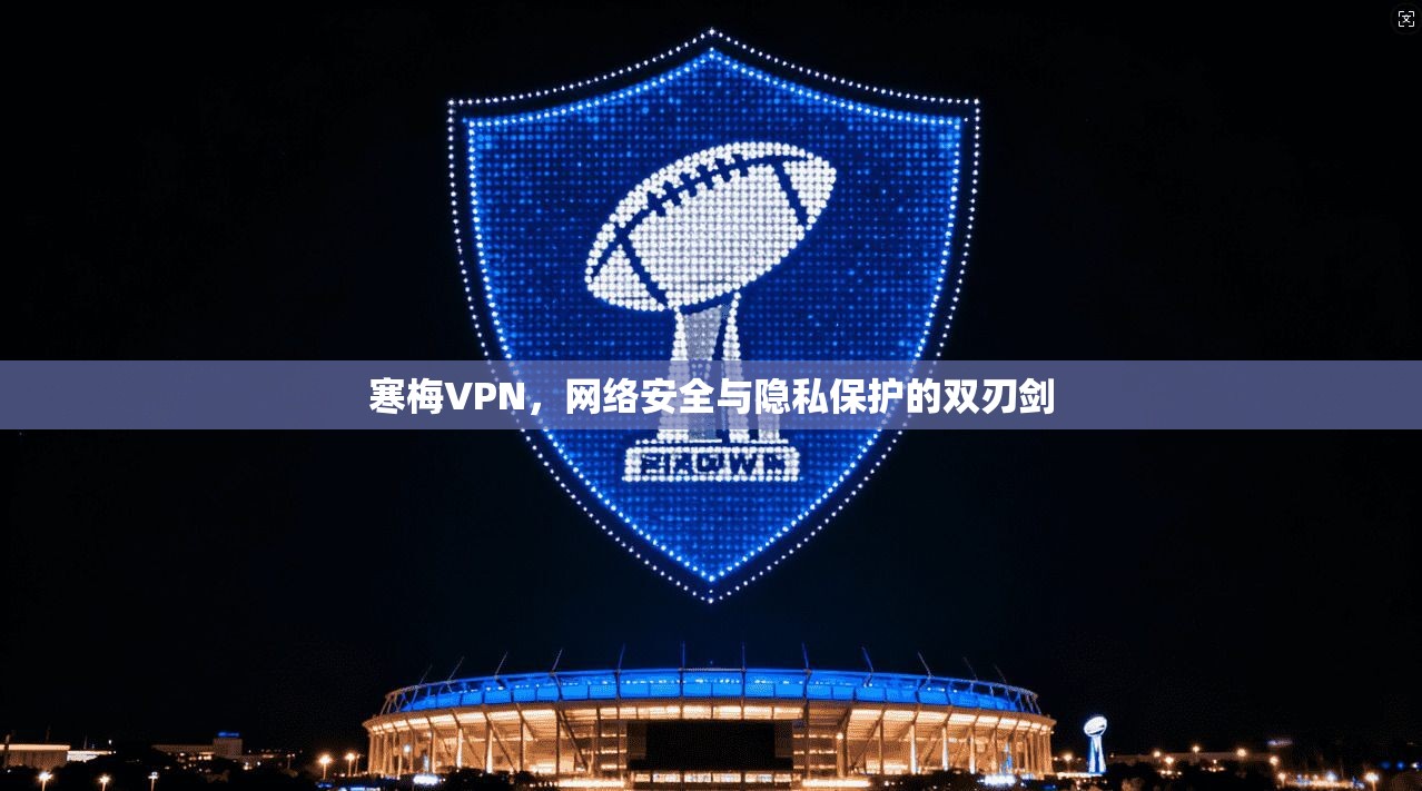 寒梅VPN，网络安全与隐私保护的双刃剑