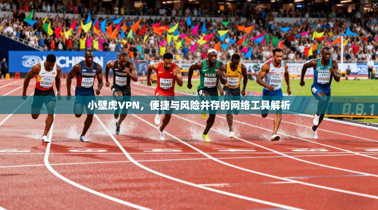 小壁虎VPN，便捷与风险并存的网络工具解析