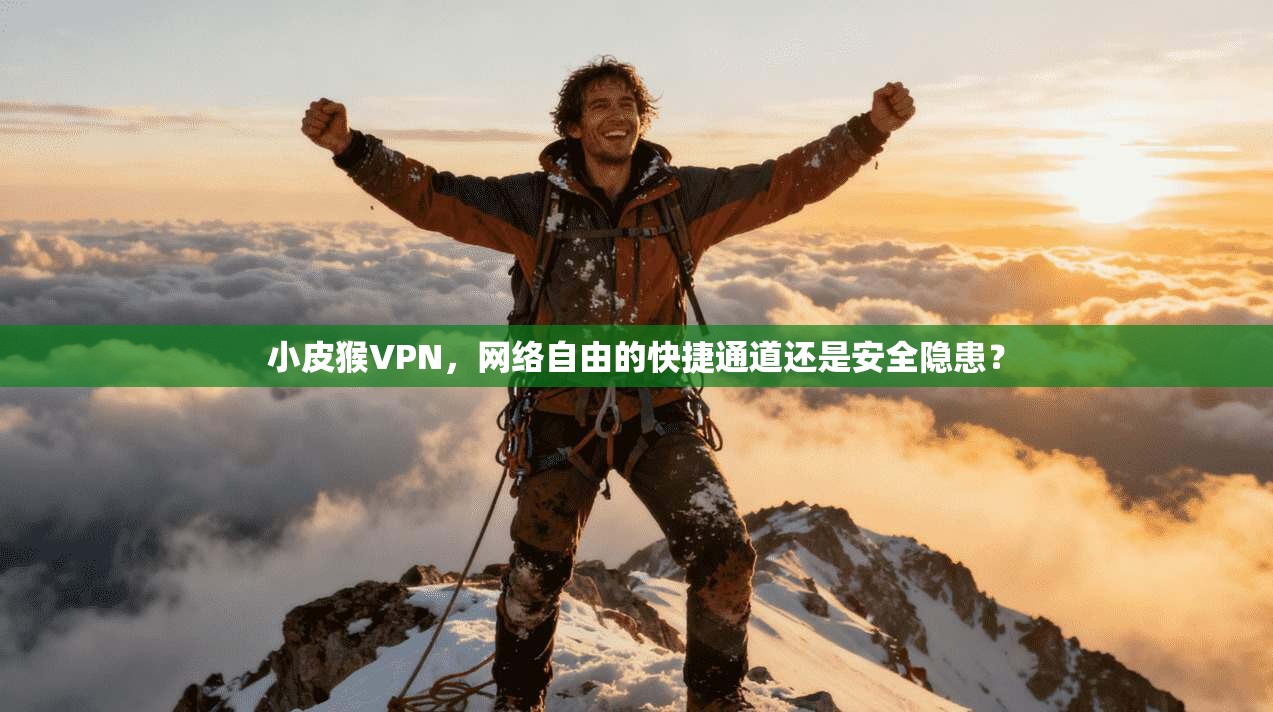 小皮猴VPN，网络自由的快捷通道还是安全隐患？