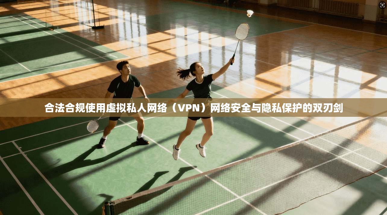 合法合规使用虚拟私人网络(VPN)网络安全与隐私保护的双刃剑 合法合规使用虚拟私人网络(VPN)网络安全与隐私保护的双刃剑