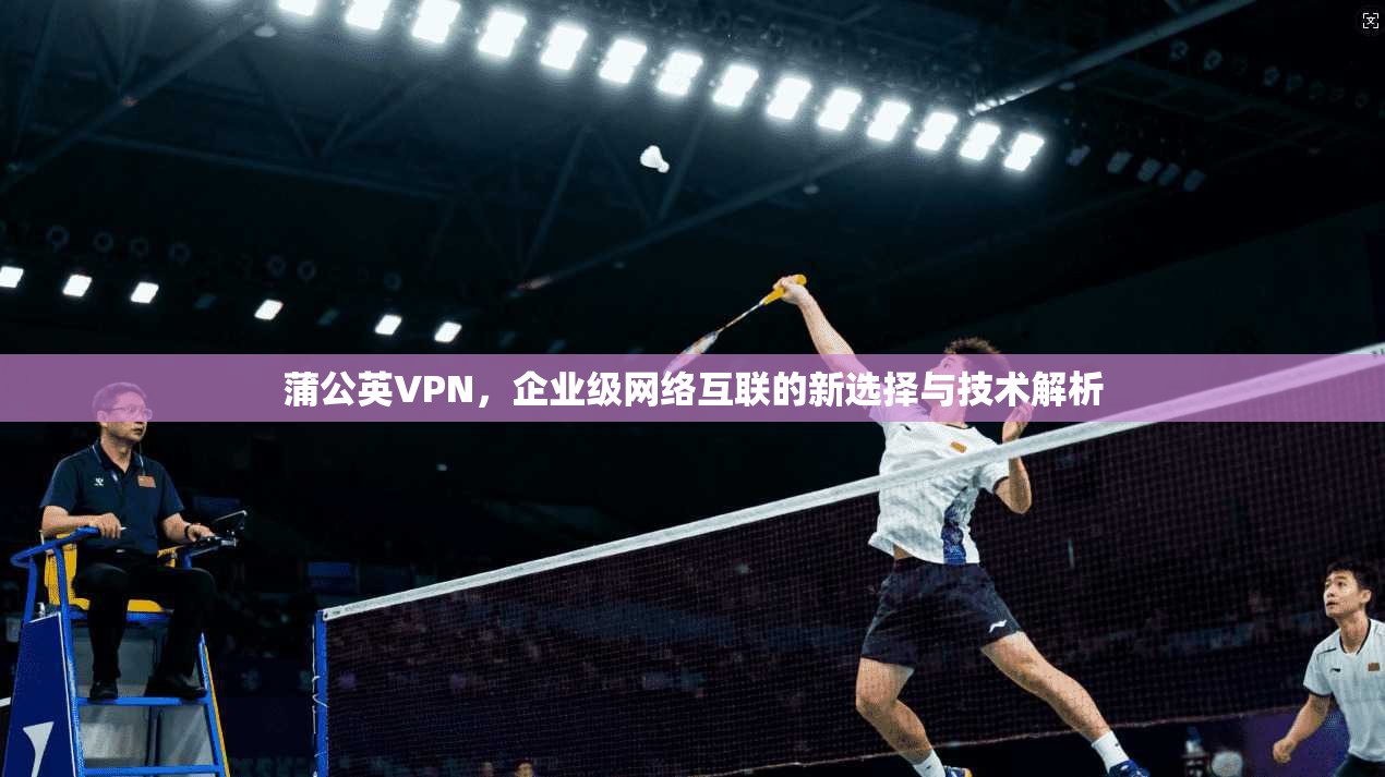 蒲公英VPN，企业级网络互联的新选择与技术解析