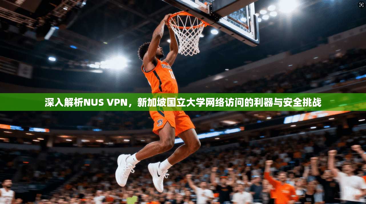 深入解析NUS VPN，新加坡国立大学网络访问的利器与安全挑战