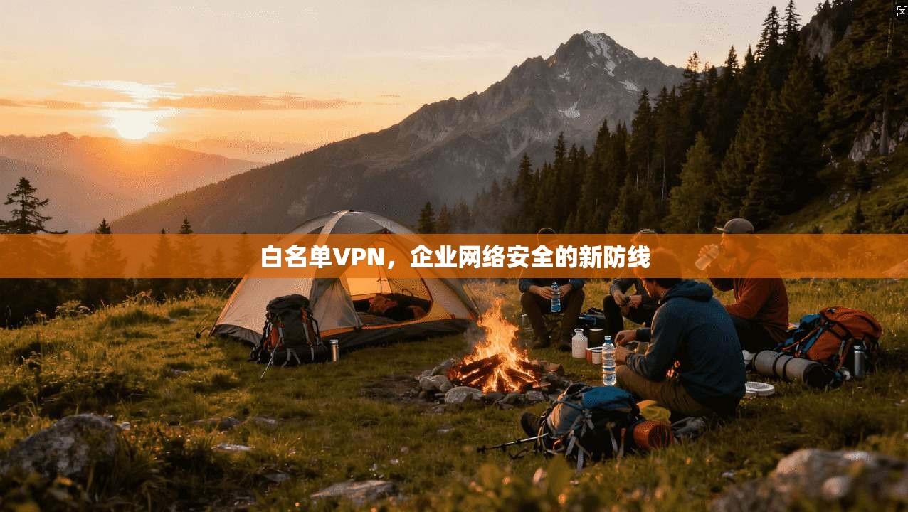 白名单VPN,企业网络安全的新防线