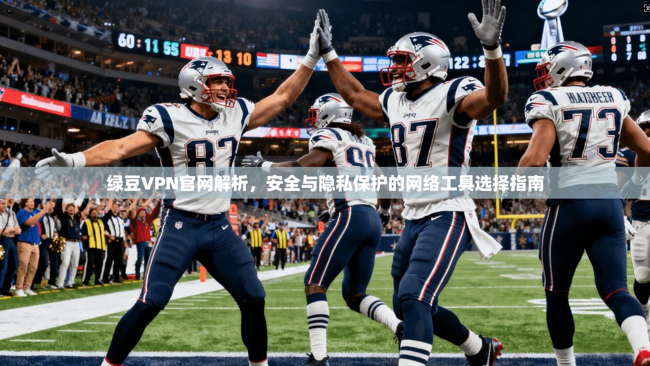 绿豆VPN官网解析，安全与隐私保护的网络工具选择指南