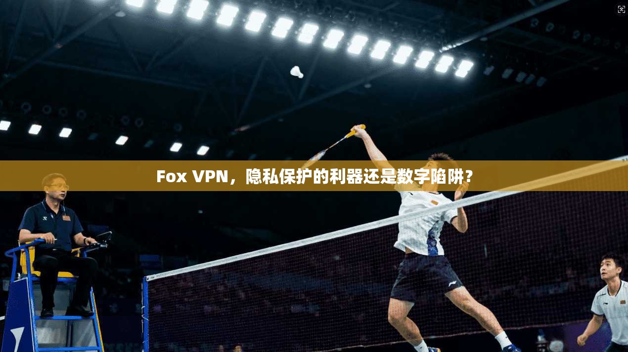 Fox VPN，隐私保护的利器还是数字陷阱？