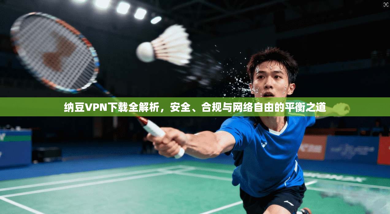 纳豆VPN下载全解析，安全、合规与网络自由的平衡之道