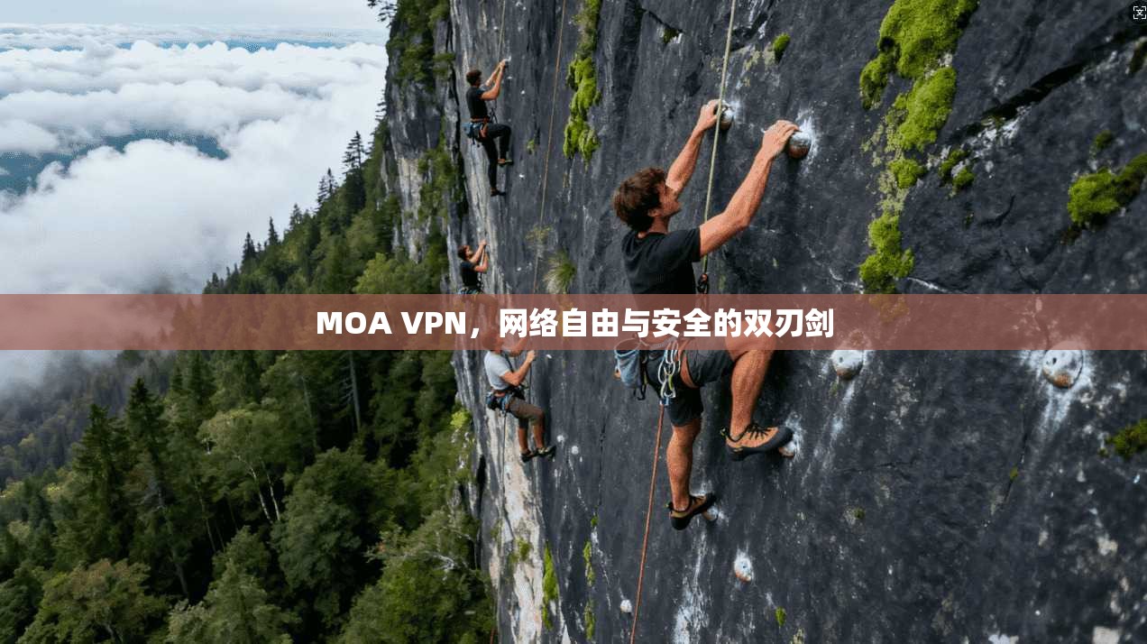 MOA VPN，网络自由与安全的双刃剑