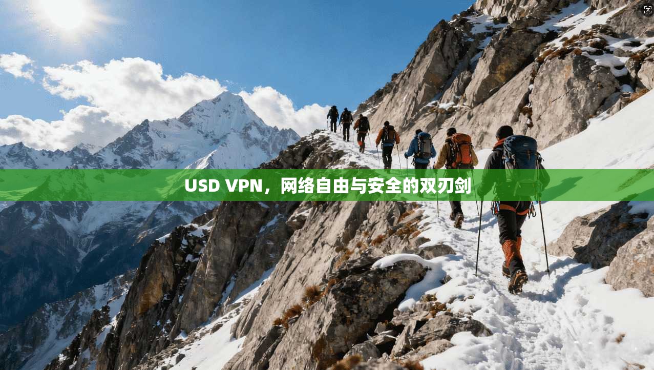 USD VPN，网络自由与安全的双刃剑