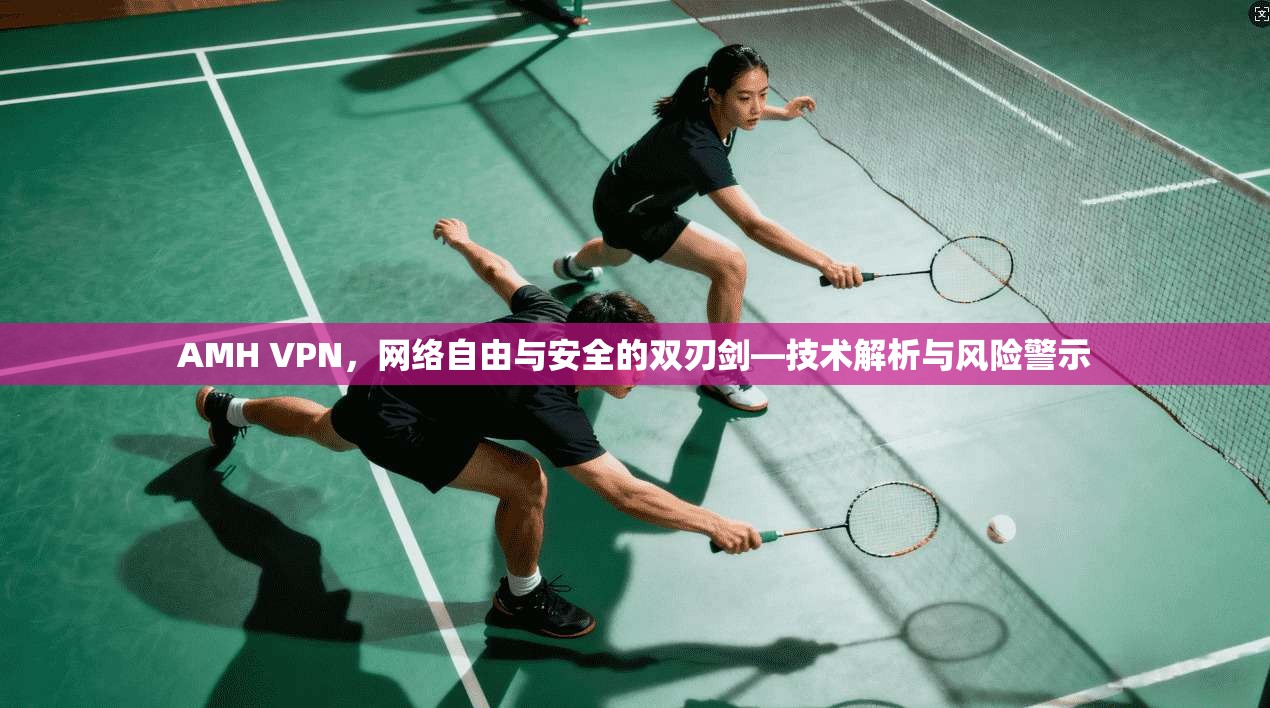 AMH VPN，网络自由与安全的双刃剑—技术解析与风险警示