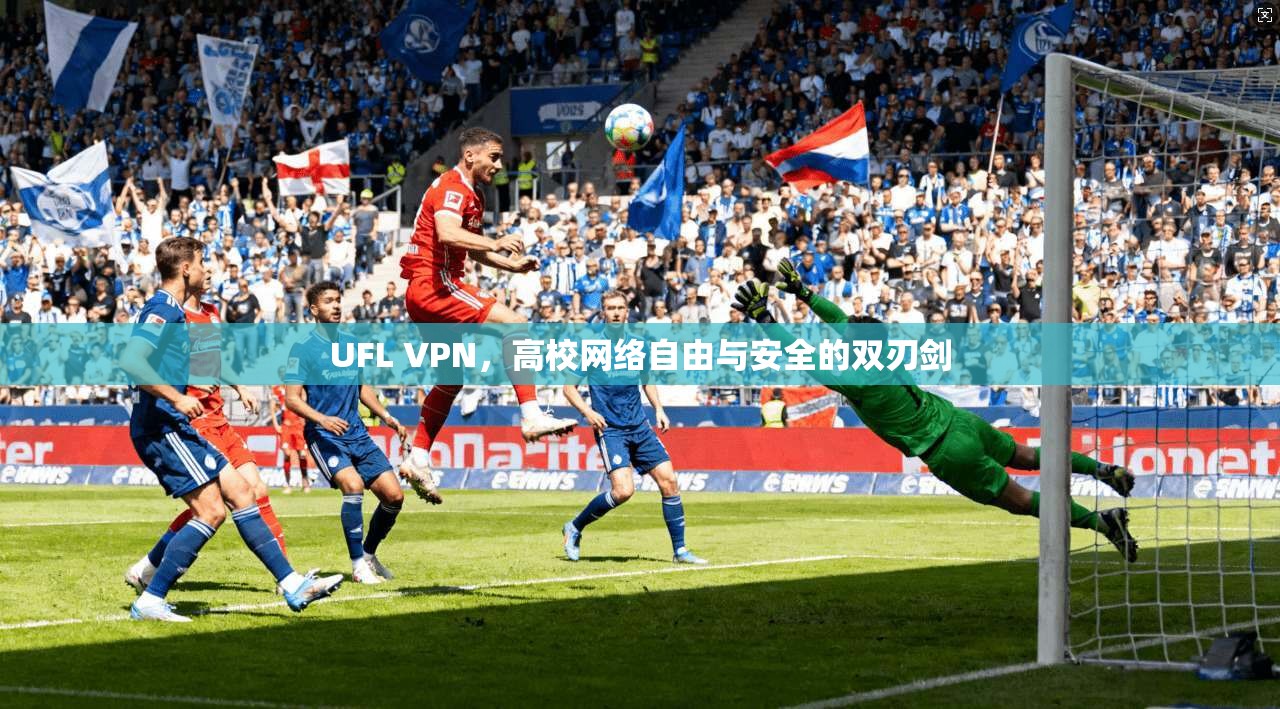 UFL VPN，高校网络自由与安全的双刃剑