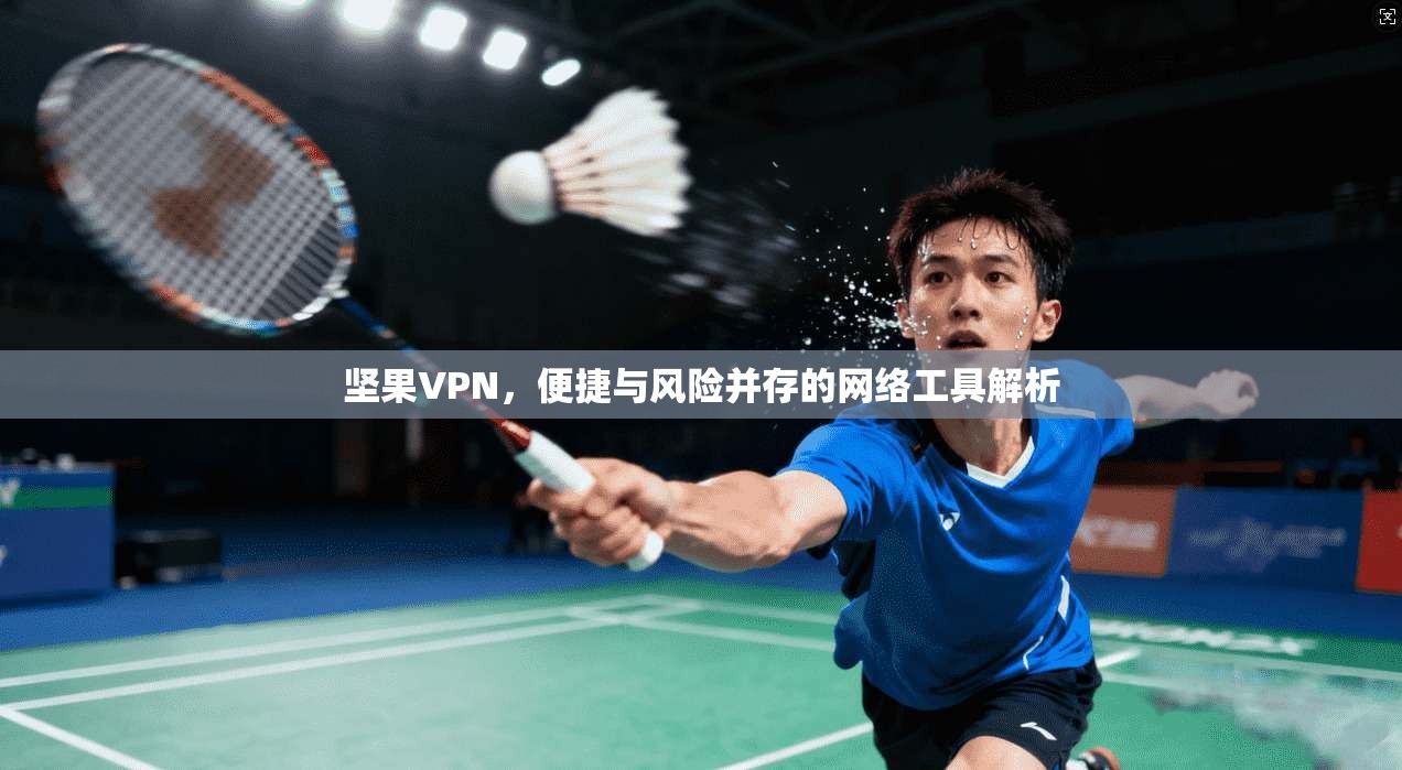 坚果VPN，便捷与风险并存的网络工具解析
