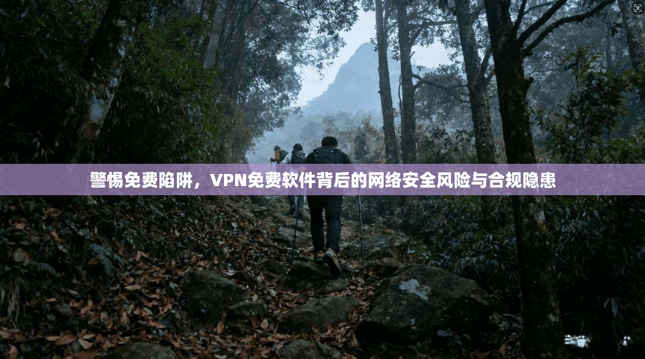 警惕免费陷阱，VPN免费软件背后的网络安全风险与合规隐患