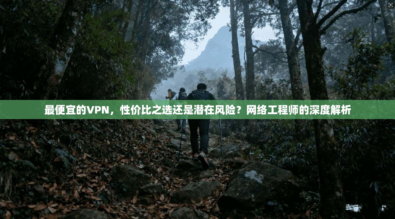 最便宜的VPN，性价比之选还是潜在风险？网络工程师的深度解析