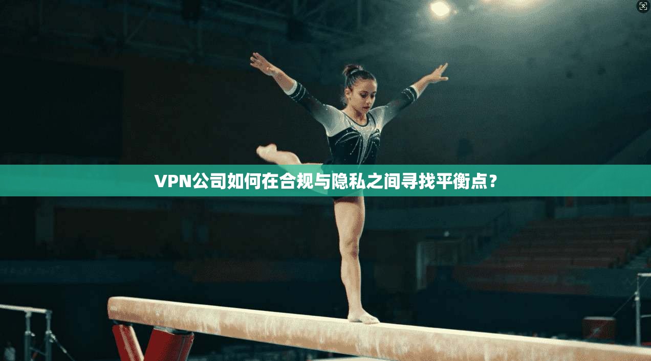 VPN公司如何在合规与隐私之间寻找平衡点？