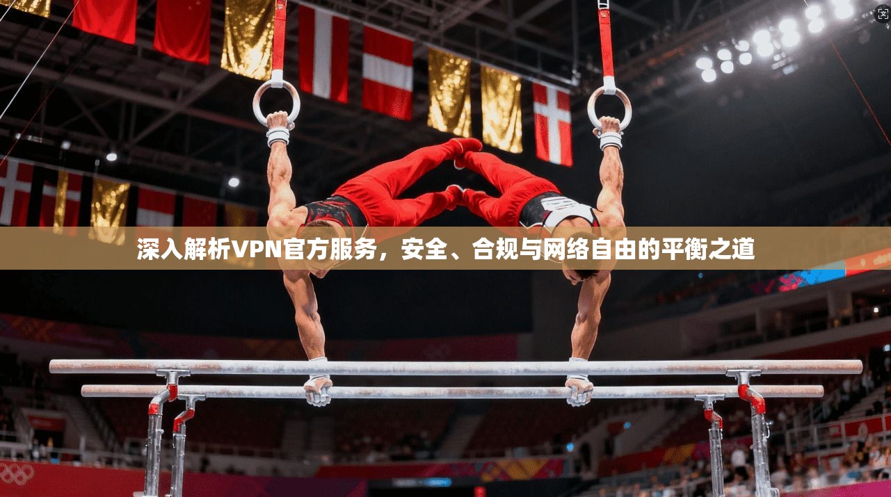 深入解析VPN官方服务，安全、合规与网络自由的平衡之道