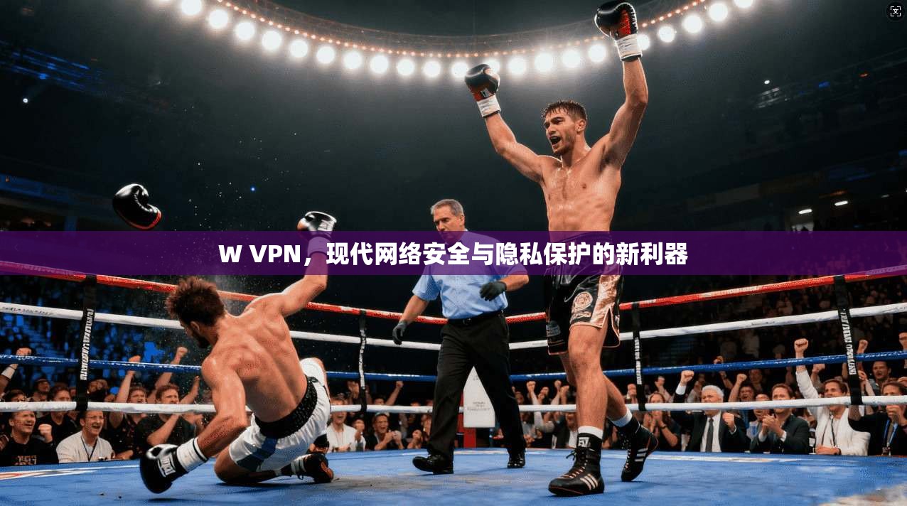 W VPN，现代网络安全与隐私保护的新利器