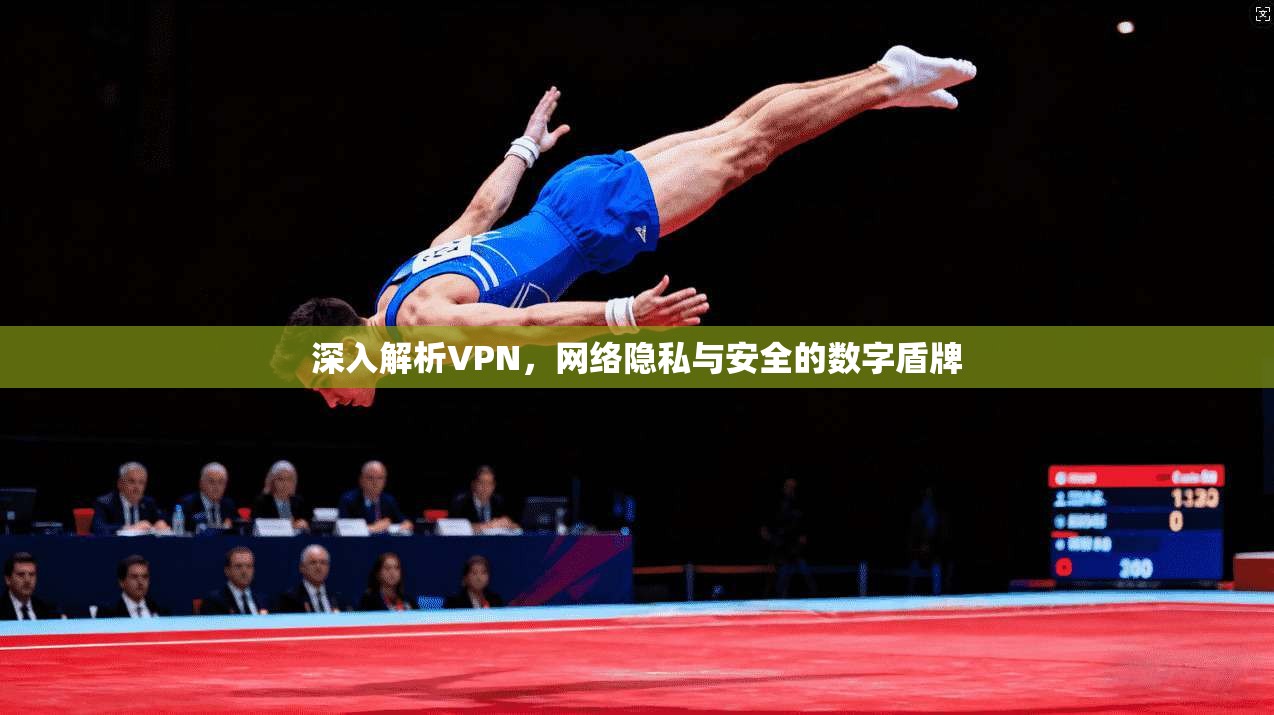 深入解析VPN，网络隐私与安全的数字盾牌