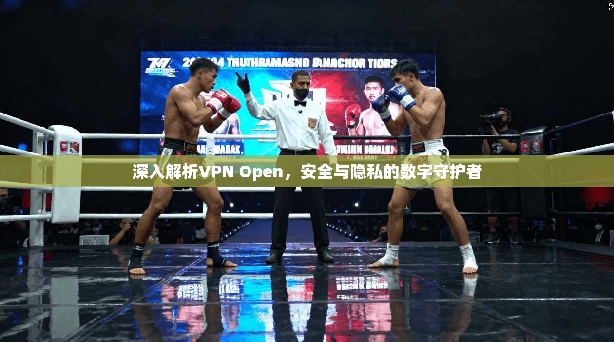 深入解析VPN Open，安全与隐私的数字守护者