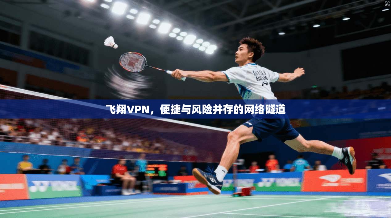 飞翔VPN，便捷与风险并存的网络隧道