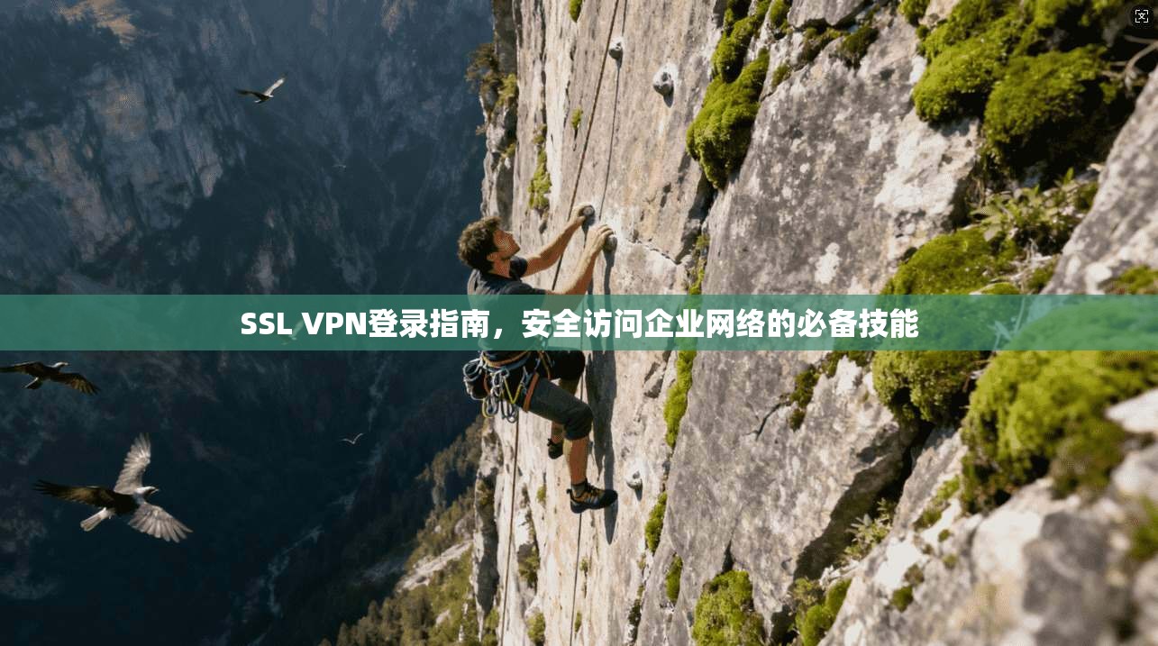 SSL VPN登录指南，安全访问企业网络的必备技能