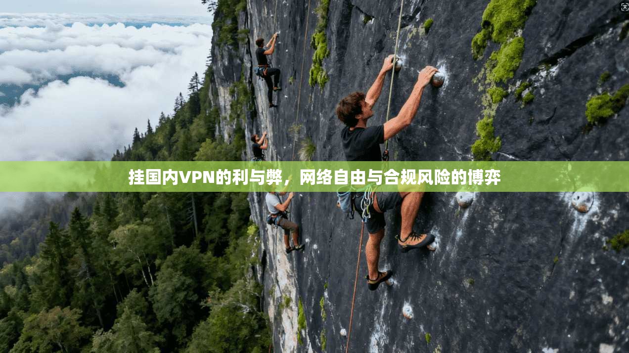 挂国内VPN的利与弊，网络自由与合规风险的博弈