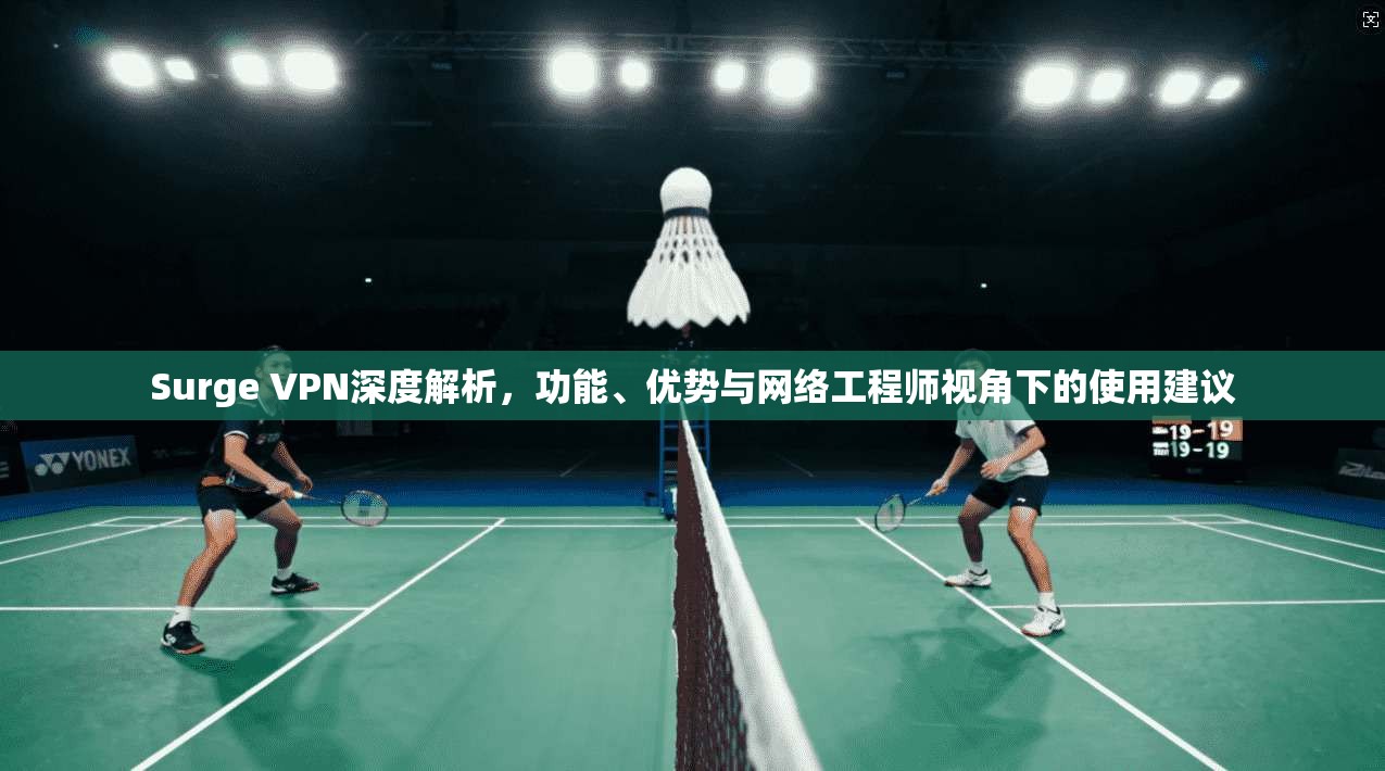 Surge VPN深度解析，功能、优势与网络工程师视角下的使用建议