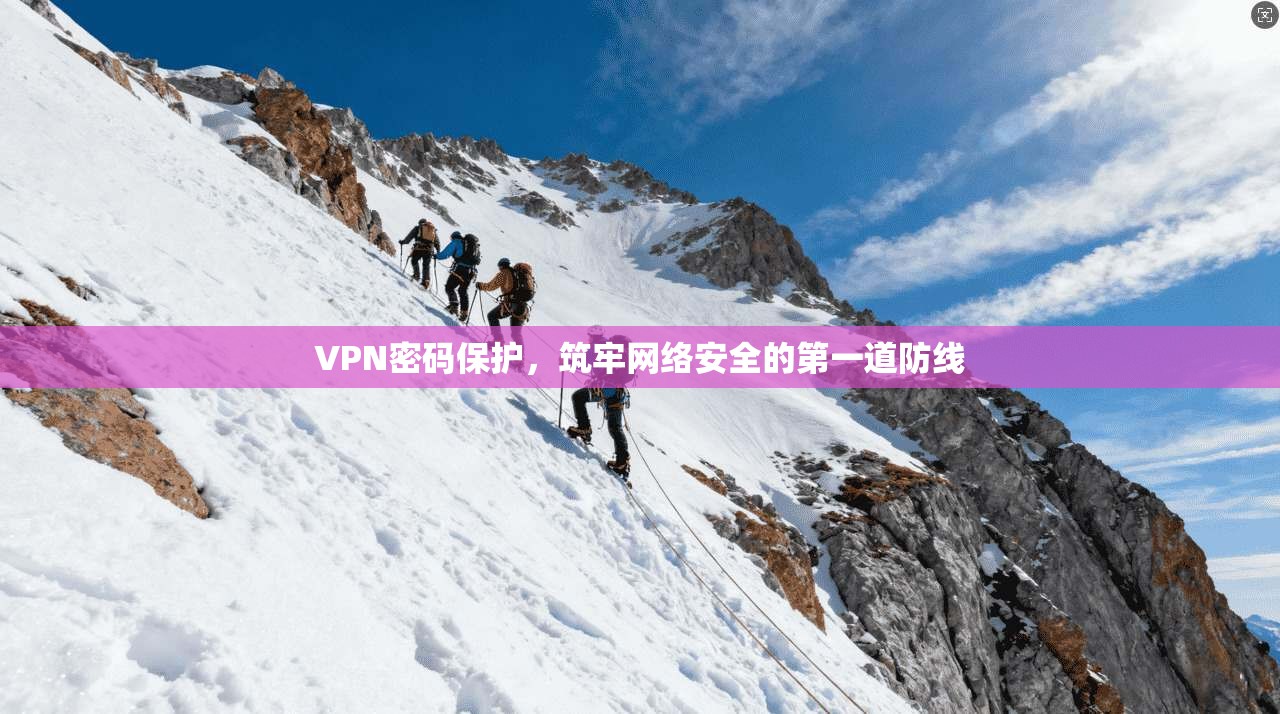 VPN密码保护，筑牢网络安全的第一道防线