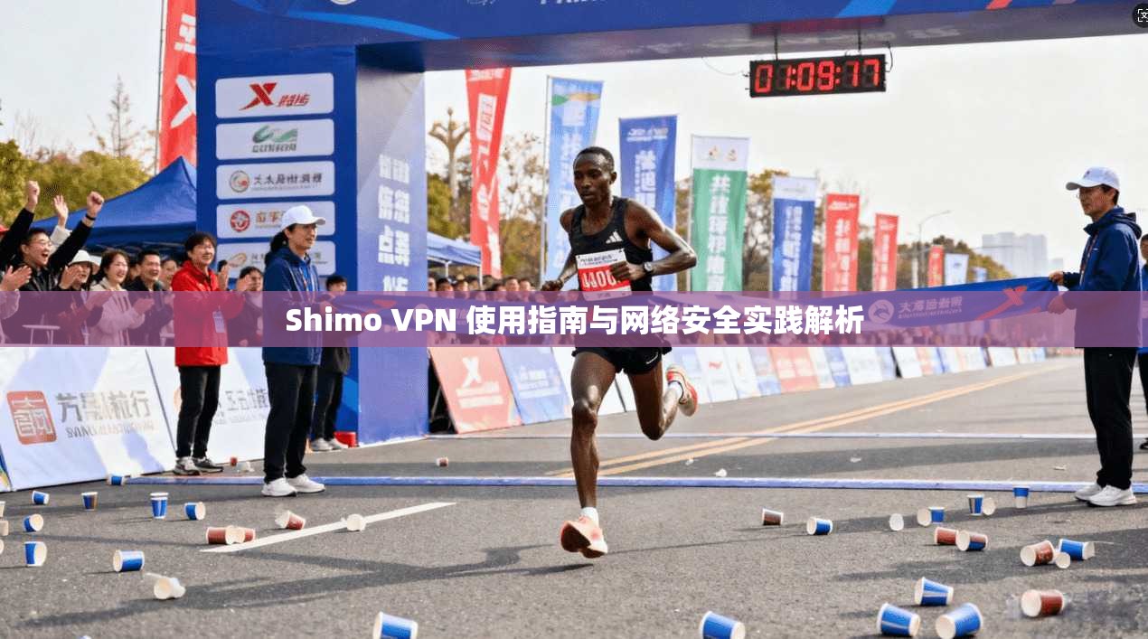 Shimo VPN 使用指南与网络安全实践解析