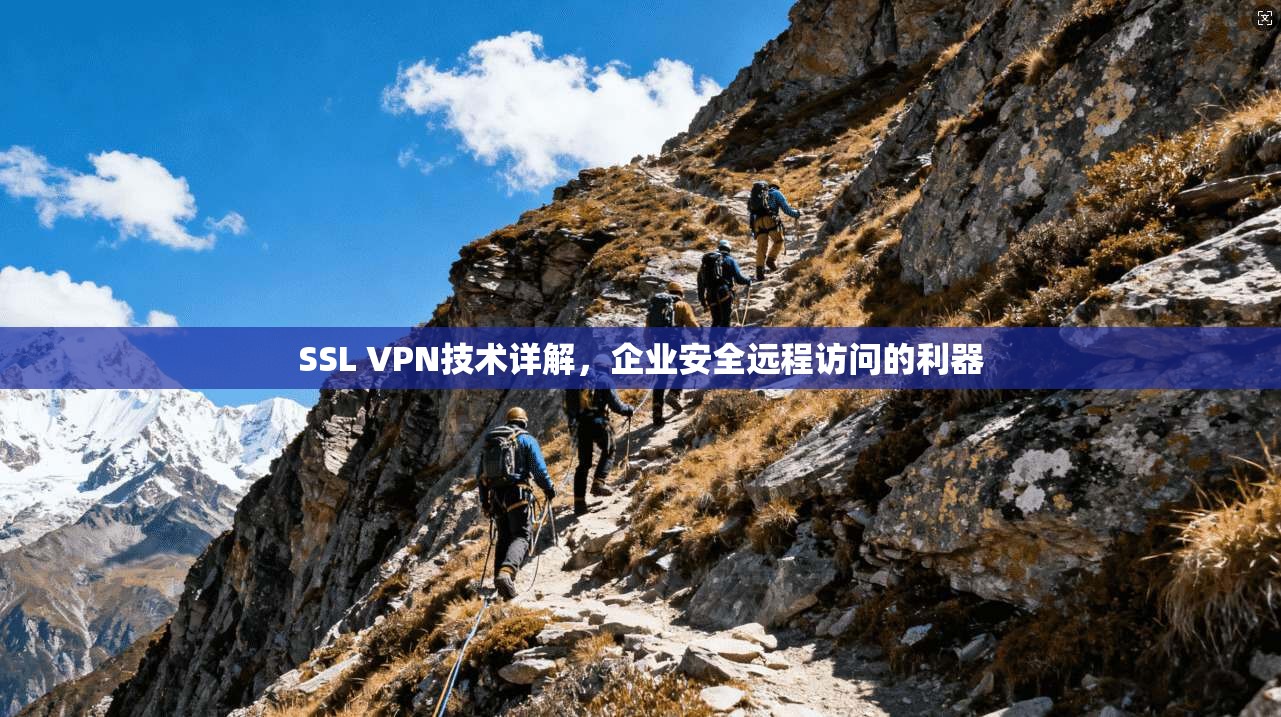 SSL VPN技术详解，企业安全远程访问的利器