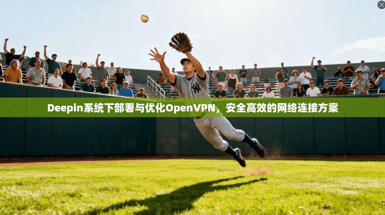 Deepin系统下部署与优化OpenVPN，安全高效的网络连接方案