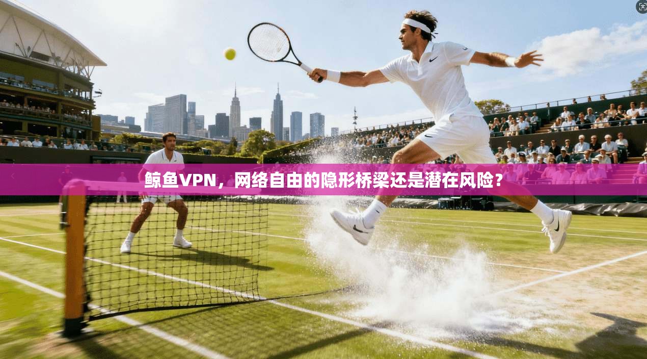 鲸鱼VPN，网络自由的隐形桥梁还是潜在风险？