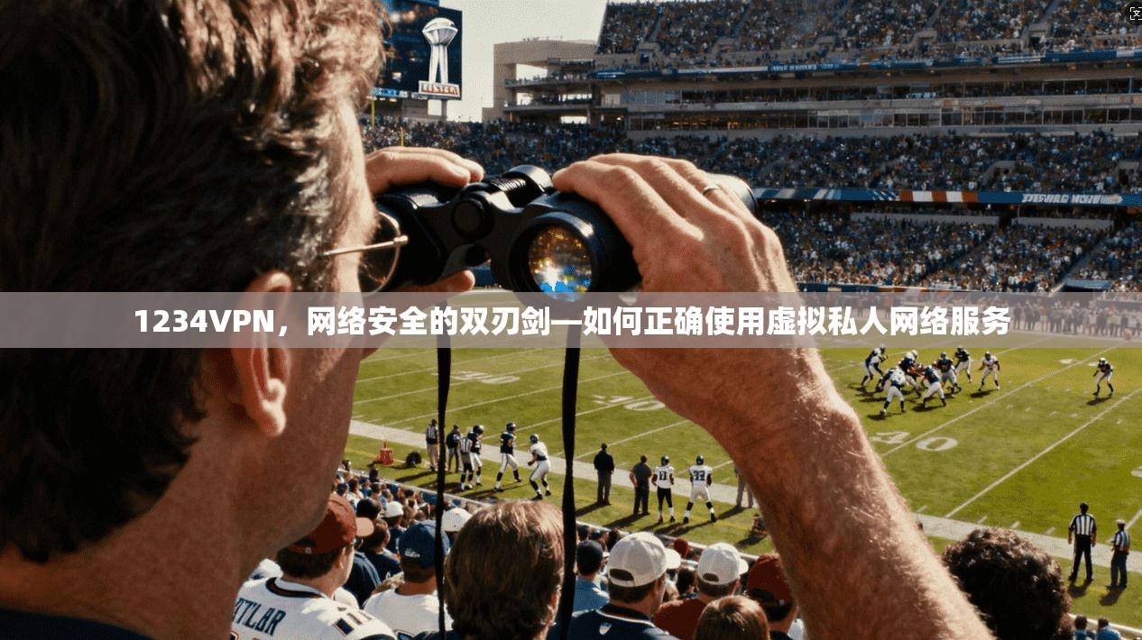 1234VPN，网络安全的双刃剑—如何正确使用虚拟私人网络服务