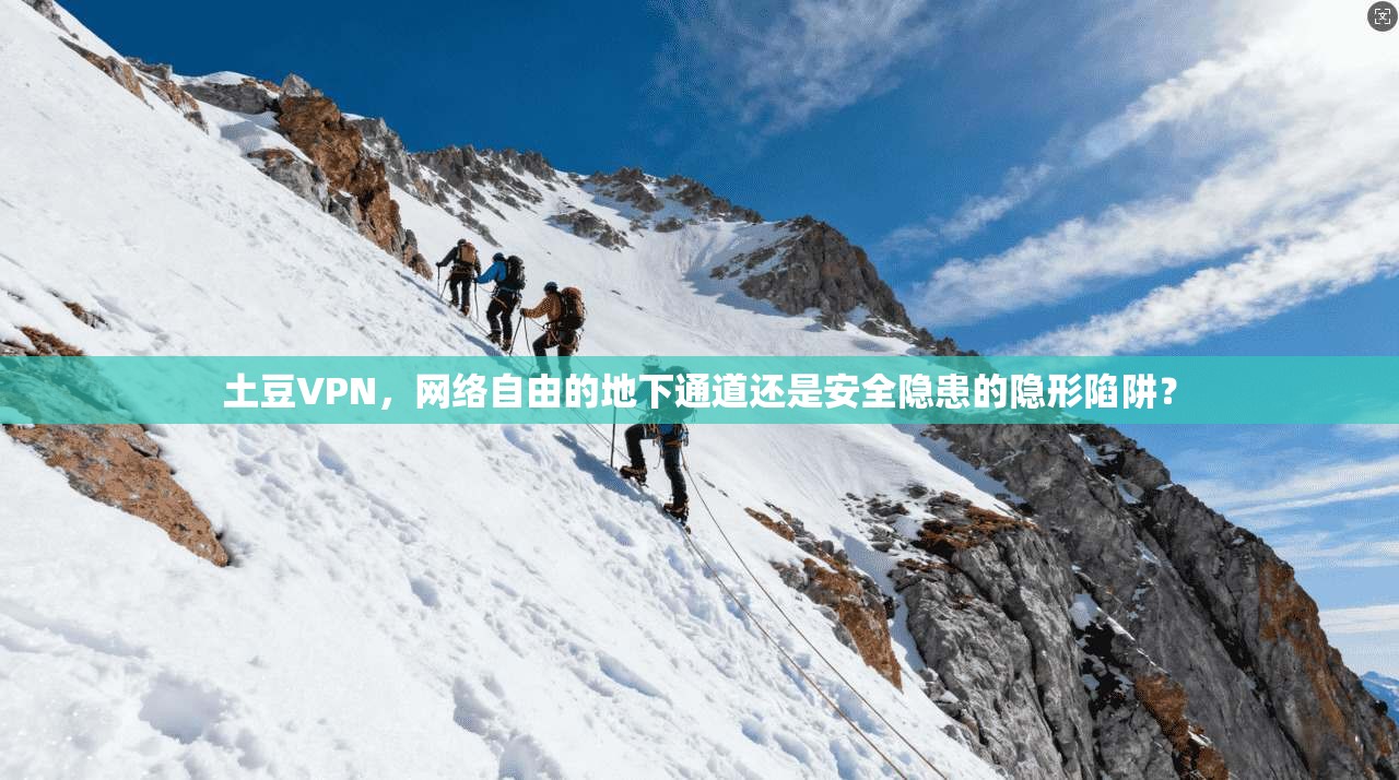 土豆VPN，网络自由的地下通道还是安全隐患的隐形陷阱？