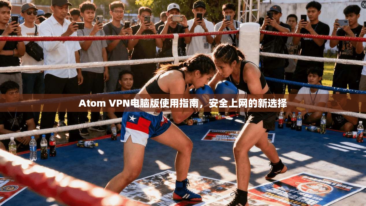 Atom VPN电脑版使用指南，安全上网的新选择