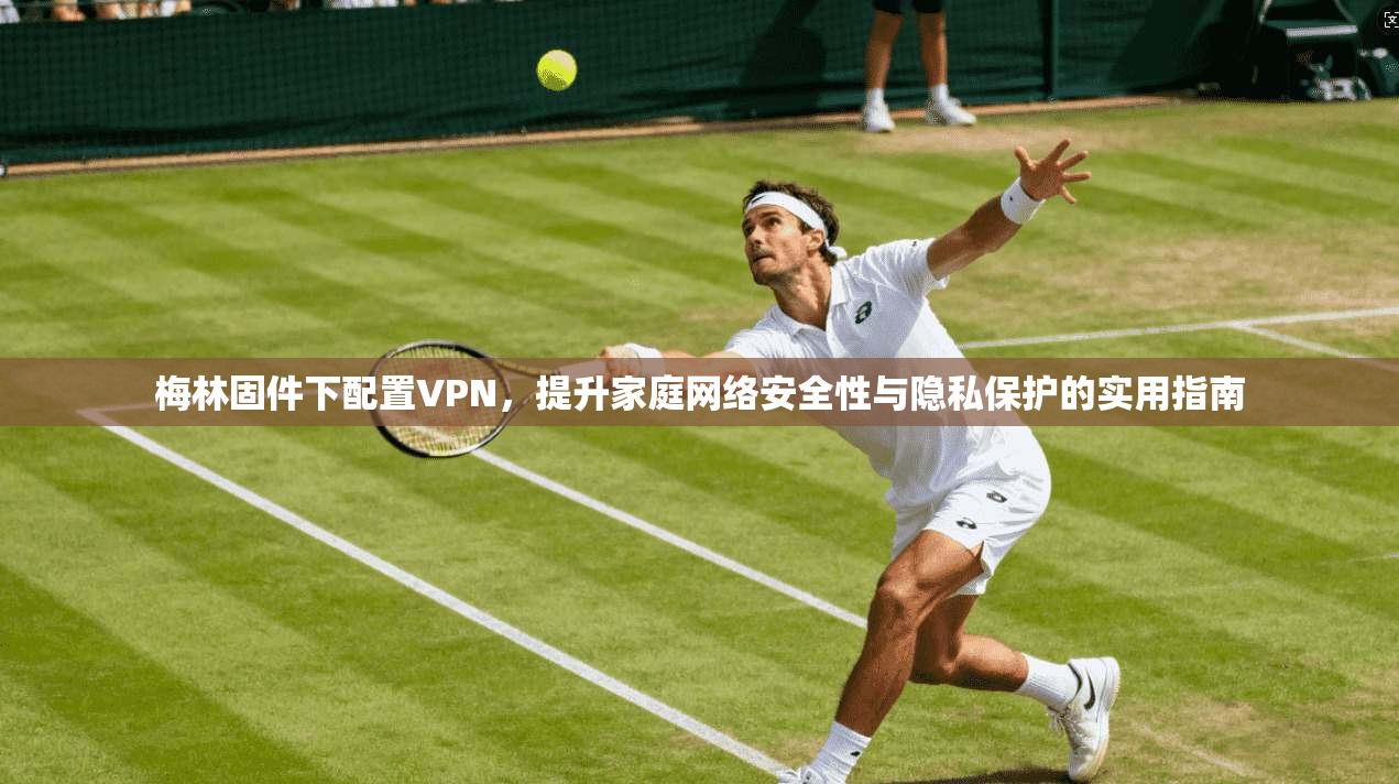 梅林固件下配置VPN，提升家庭网络安全性与隐私保护的实用指南