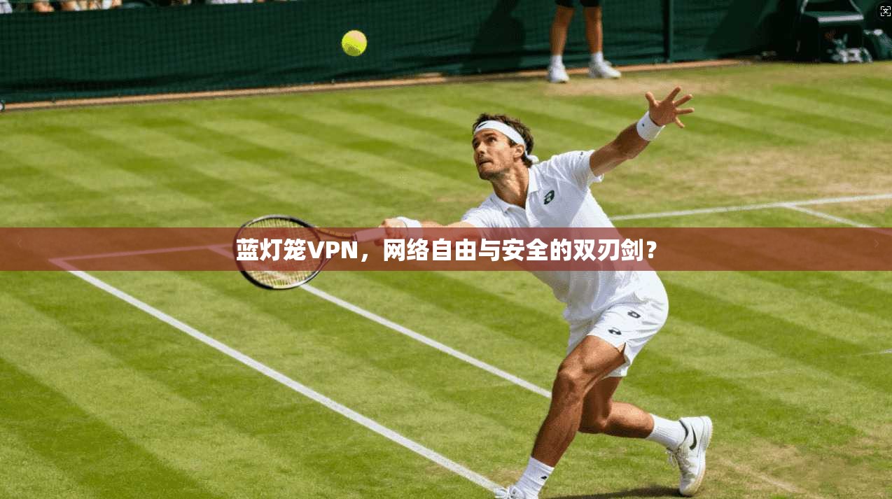 蓝灯笼VPN，网络自由与安全的双刃剑？