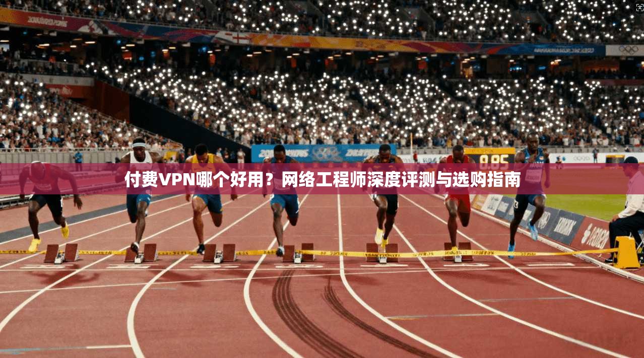 付费VPN哪个好用？网络工程师深度评测与选购指南