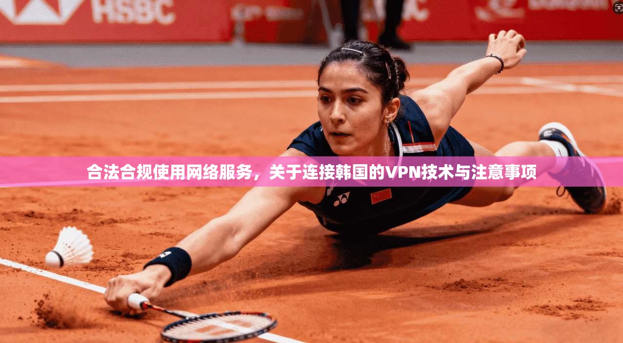 合法合规使用网络服务，关于连接韩国的VPN技术与注意事项