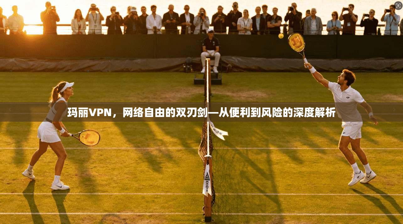 玛丽VPN，网络自由的双刃剑—从便利到风险的深度解析