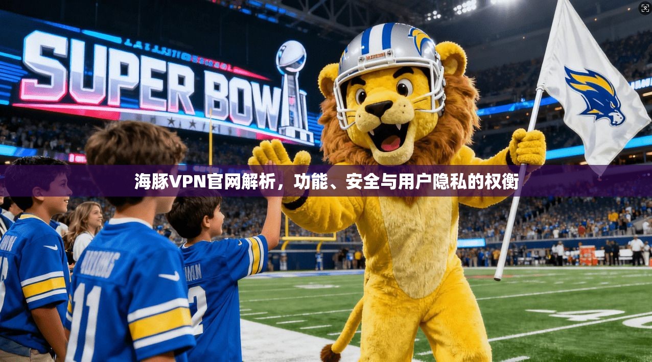 海豚VPN官网解析，功能、安全与用户隐私的权衡