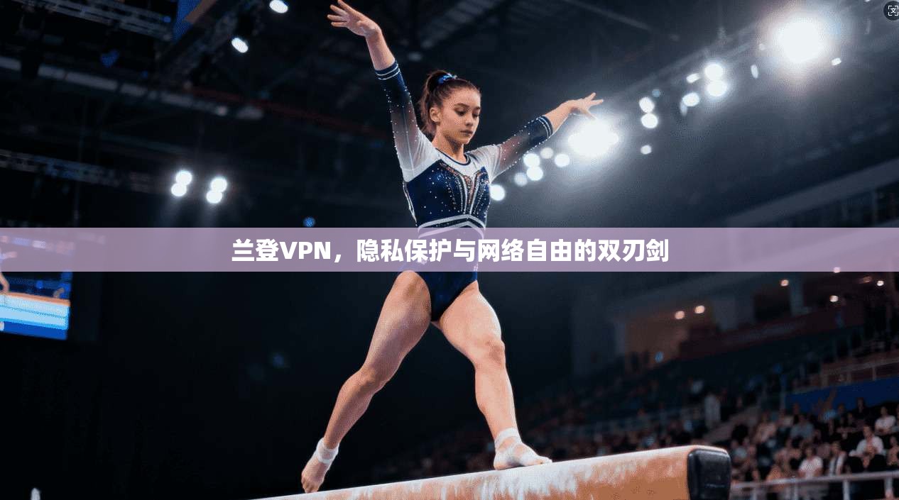 兰登VPN，隐私保护与网络自由的双刃剑