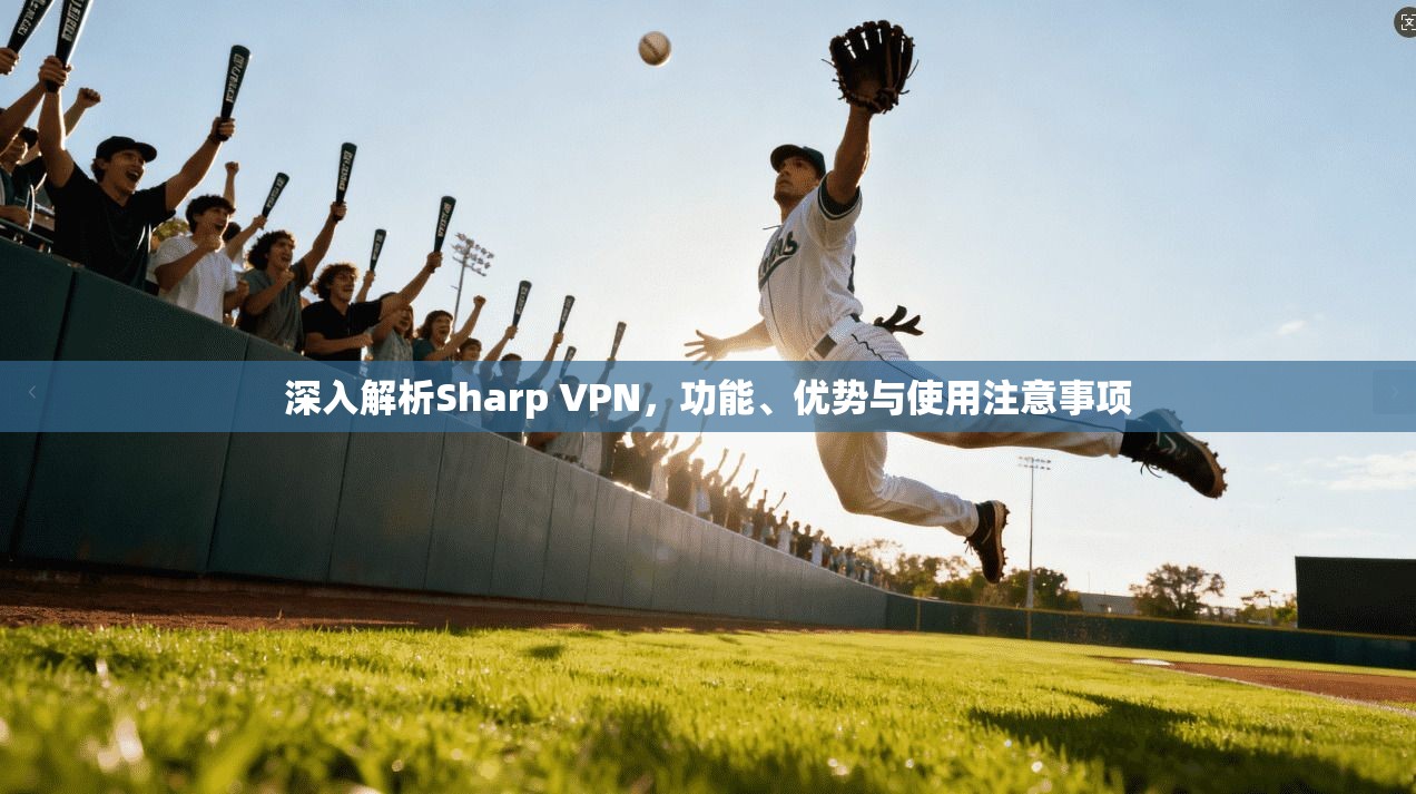 深入解析Sharp VPN,功能、优势与使用注意事项 深入解析Sharp VPN,功能、优势与使用注意事项