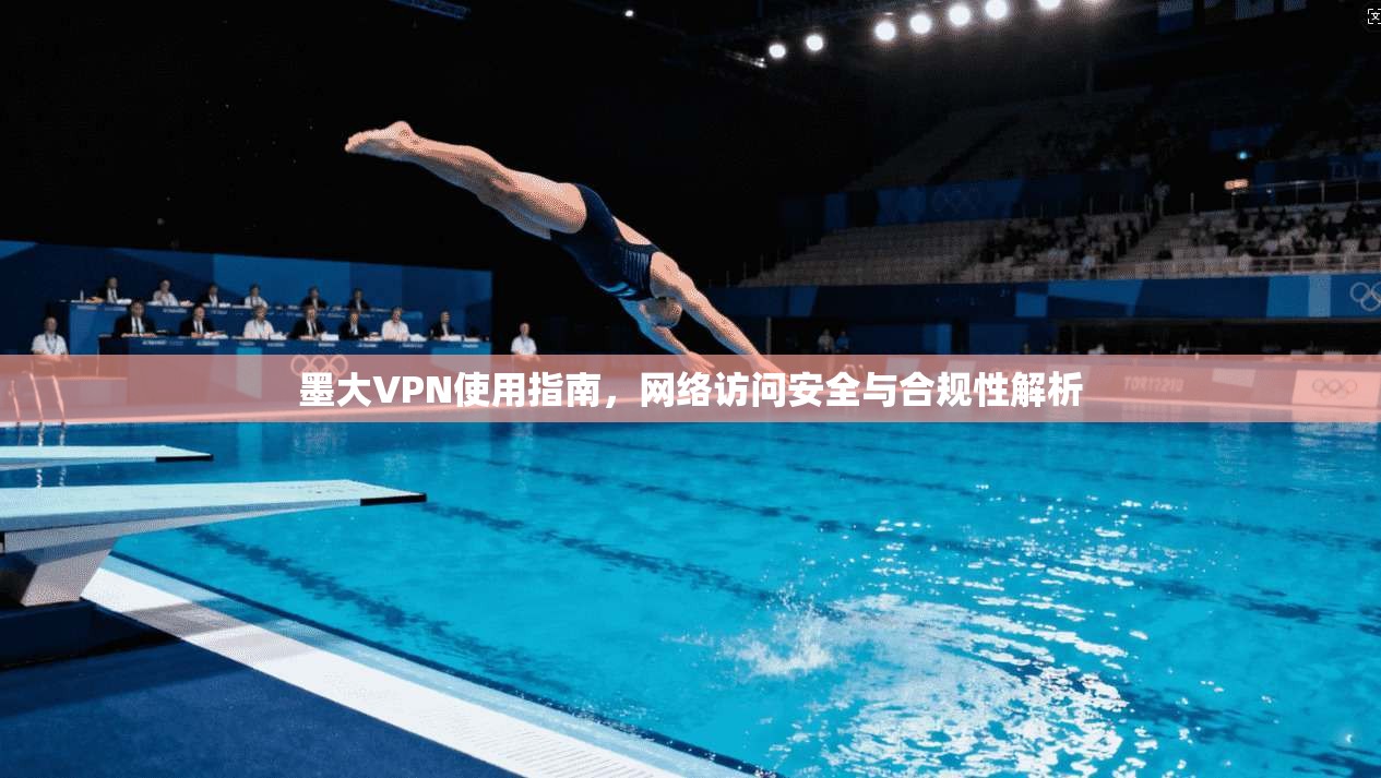 墨大VPN使用指南，网络访问安全与合规性解析