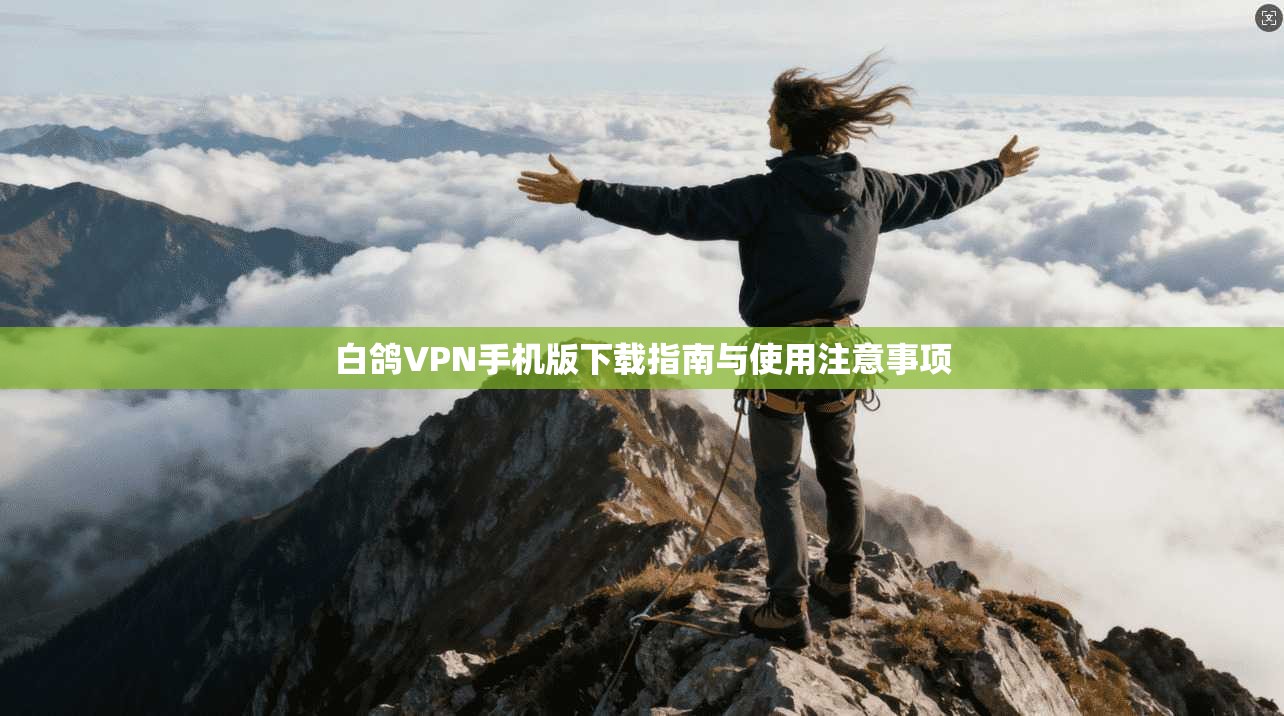 白鸽VPN手机版下载指南与使用注意事项 白鸽VPN手机版下载指南与使用注意事项